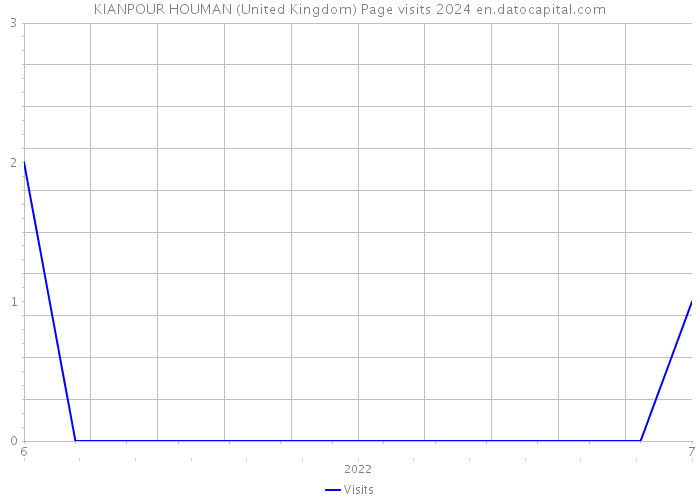 KIANPOUR HOUMAN (United Kingdom) Page visits 2024 