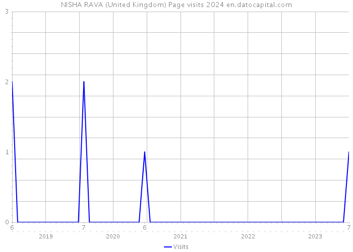 NISHA RAVA (United Kingdom) Page visits 2024 