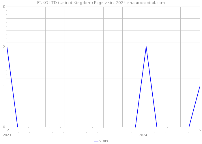ENKO LTD (United Kingdom) Page visits 2024 