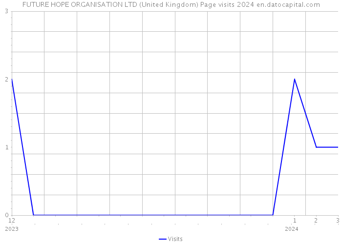 FUTURE HOPE ORGANISATION LTD (United Kingdom) Page visits 2024 