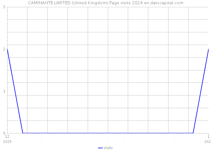 CAMINANTE LIMITED (United Kingdom) Page visits 2024 