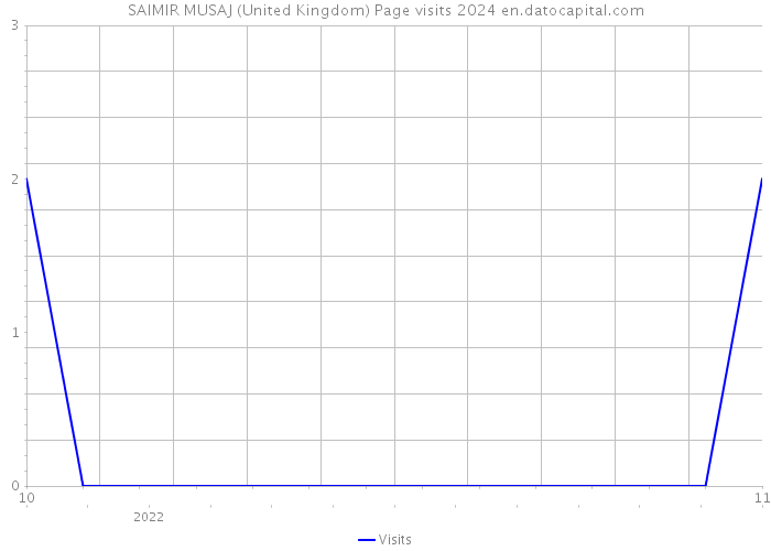 SAIMIR MUSAJ (United Kingdom) Page visits 2024 