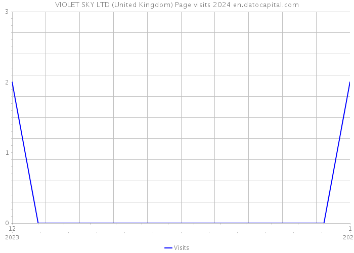 VIOLET SKY LTD (United Kingdom) Page visits 2024 