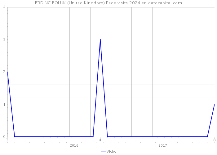 ERDINC BOLUK (United Kingdom) Page visits 2024 