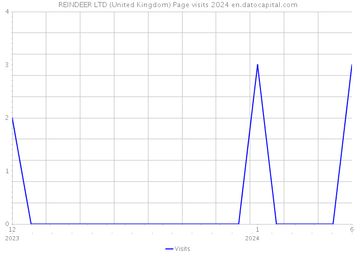 REINDEER LTD (United Kingdom) Page visits 2024 