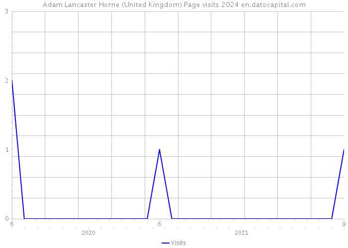 Adam Lancaster Horne (United Kingdom) Page visits 2024 