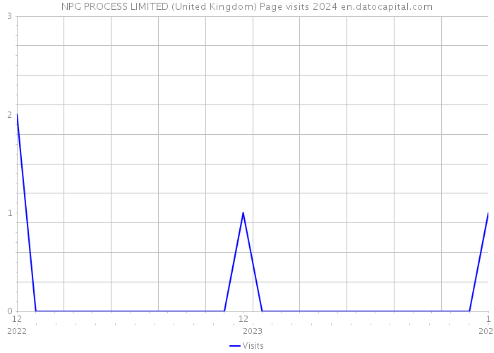 NPG PROCESS LIMITED (United Kingdom) Page visits 2024 