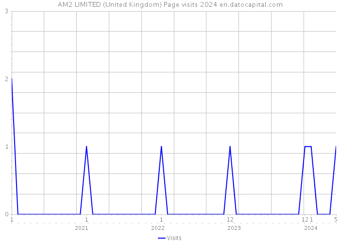 AM2 LIMITED (United Kingdom) Page visits 2024 