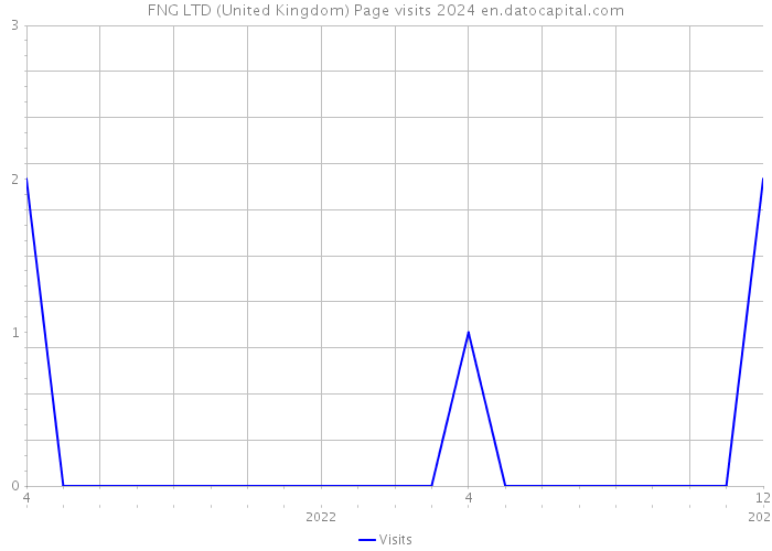 FNG LTD (United Kingdom) Page visits 2024 