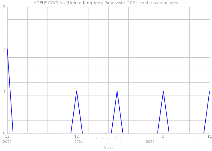 ADELE COGLAN (United Kingdom) Page visits 2024 