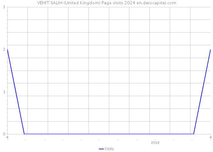 VEHIT SALIH (United Kingdom) Page visits 2024 