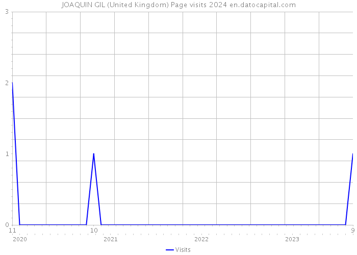 JOAQUIN GIL (United Kingdom) Page visits 2024 