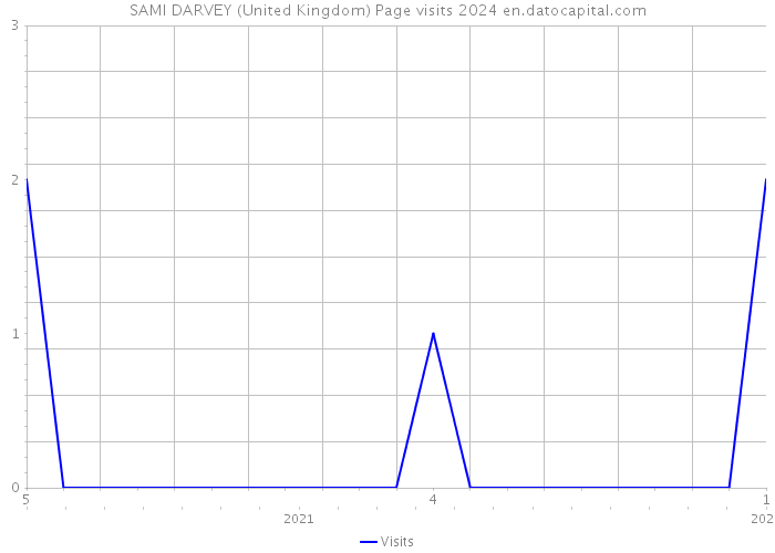 SAMI DARVEY (United Kingdom) Page visits 2024 