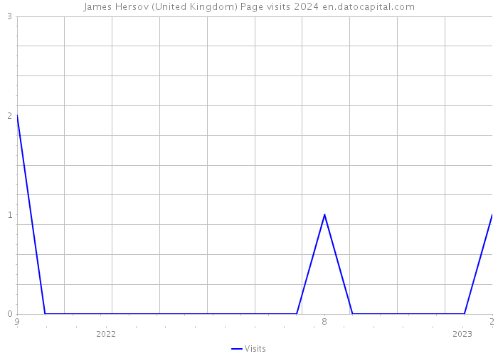 James Hersov (United Kingdom) Page visits 2024 