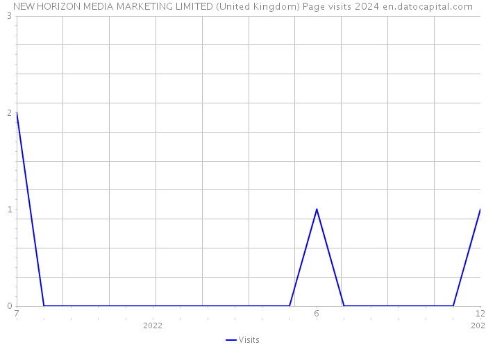NEW HORIZON MEDIA MARKETING LIMITED (United Kingdom) Page visits 2024 
