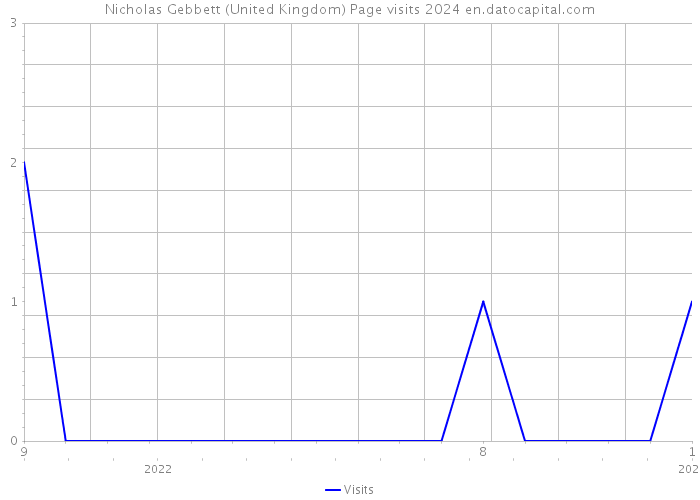 Nicholas Gebbett (United Kingdom) Page visits 2024 