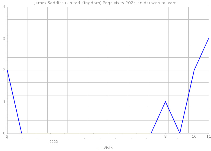 James Boddice (United Kingdom) Page visits 2024 