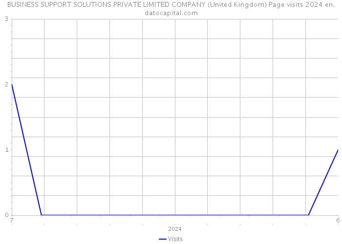 BUSINESS SUPPORT SOLUTIONS PRIVATE LIMITED COMPANY (United Kingdom) Page visits 2024 