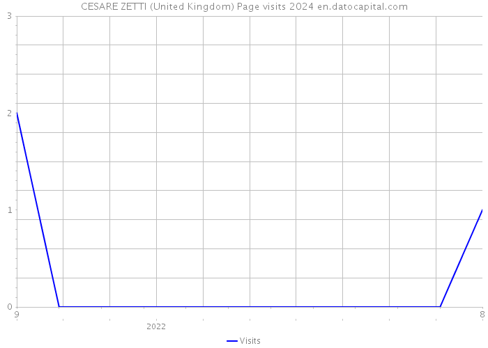 CESARE ZETTI (United Kingdom) Page visits 2024 