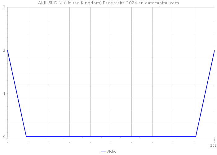 AKIL BUDINI (United Kingdom) Page visits 2024 