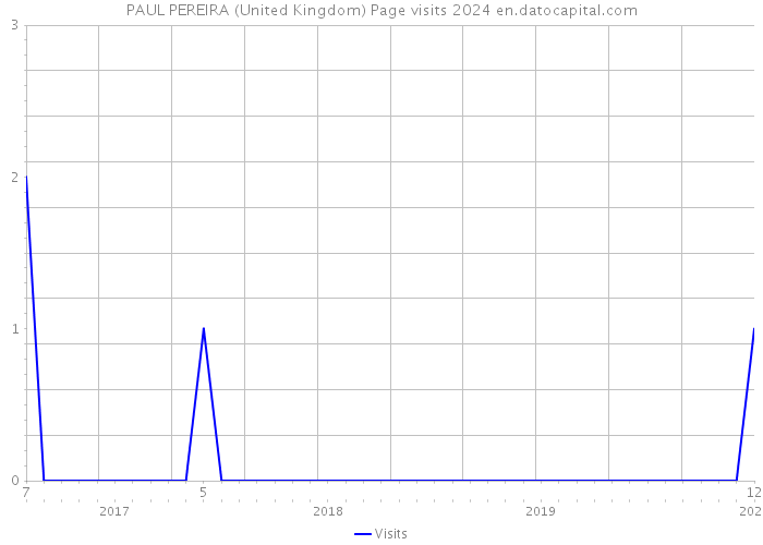 PAUL PEREIRA (United Kingdom) Page visits 2024 