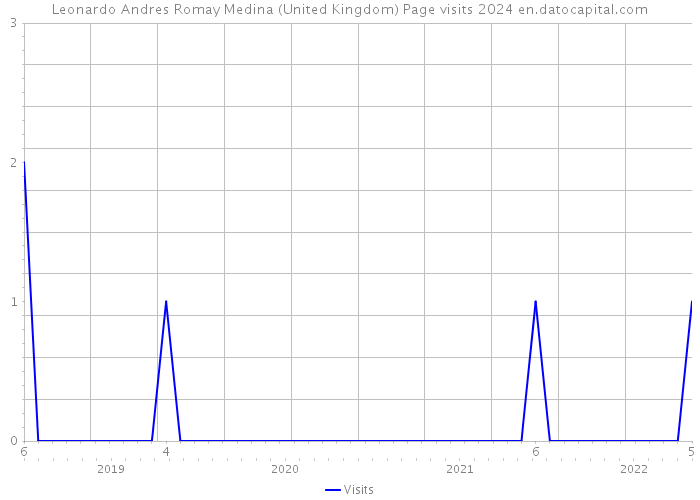 Leonardo Andres Romay Medina (United Kingdom) Page visits 2024 
