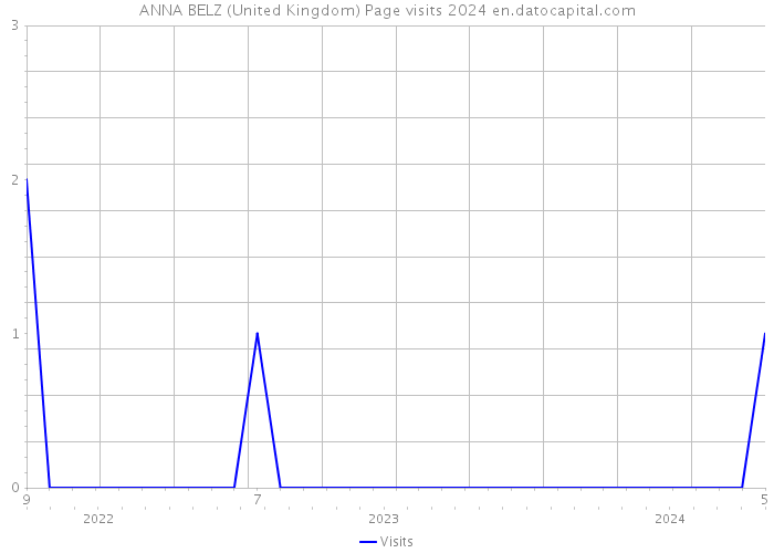 ANNA BELZ (United Kingdom) Page visits 2024 