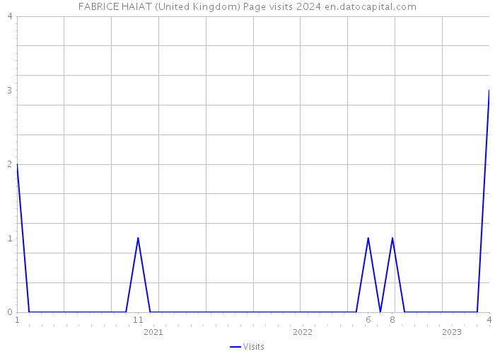 FABRICE HAIAT (United Kingdom) Page visits 2024 