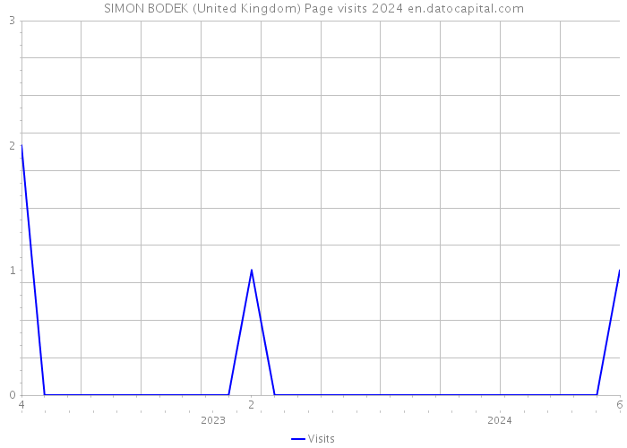SIMON BODEK (United Kingdom) Page visits 2024 