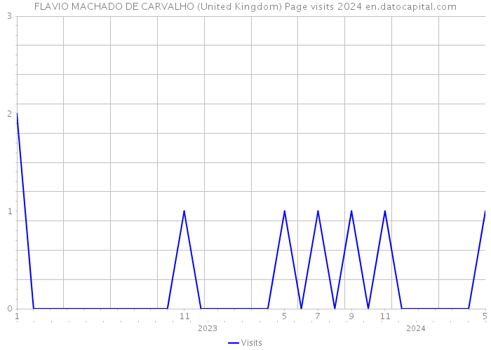 FLAVIO MACHADO DE CARVALHO (United Kingdom) Page visits 2024 