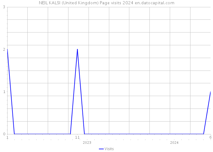 NEIL KALSI (United Kingdom) Page visits 2024 