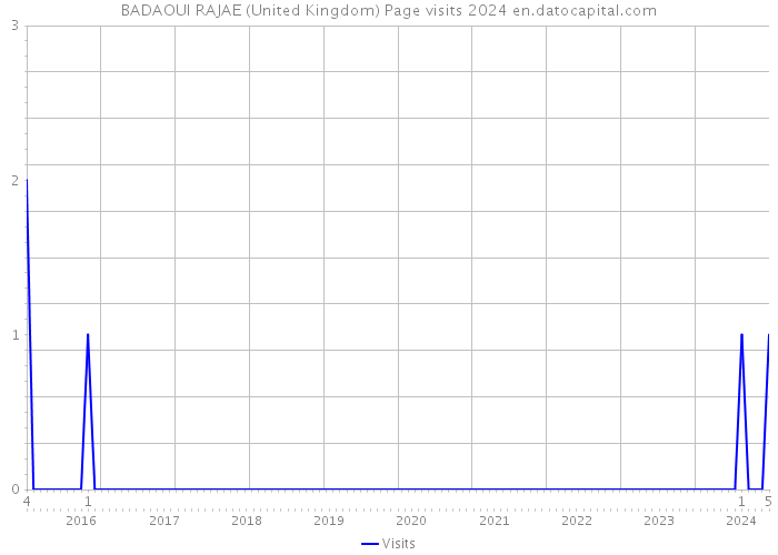 BADAOUI RAJAE (United Kingdom) Page visits 2024 