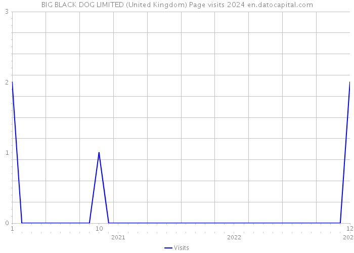 BIG BLACK DOG LIMITED (United Kingdom) Page visits 2024 