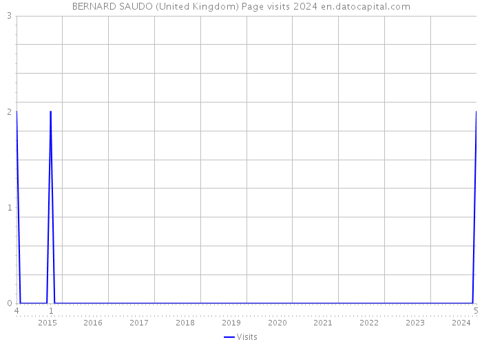 BERNARD SAUDO (United Kingdom) Page visits 2024 