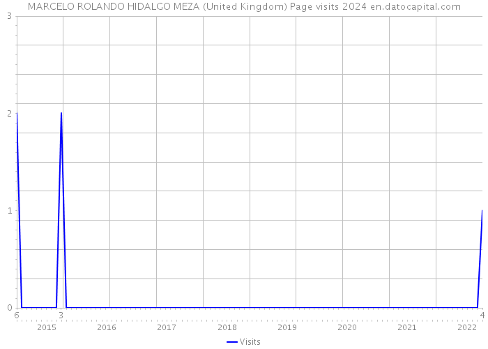 MARCELO ROLANDO HIDALGO MEZA (United Kingdom) Page visits 2024 