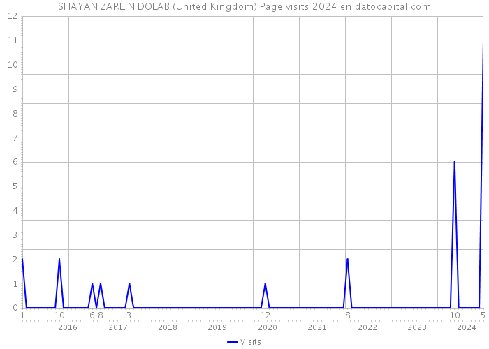 SHAYAN ZAREIN DOLAB (United Kingdom) Page visits 2024 