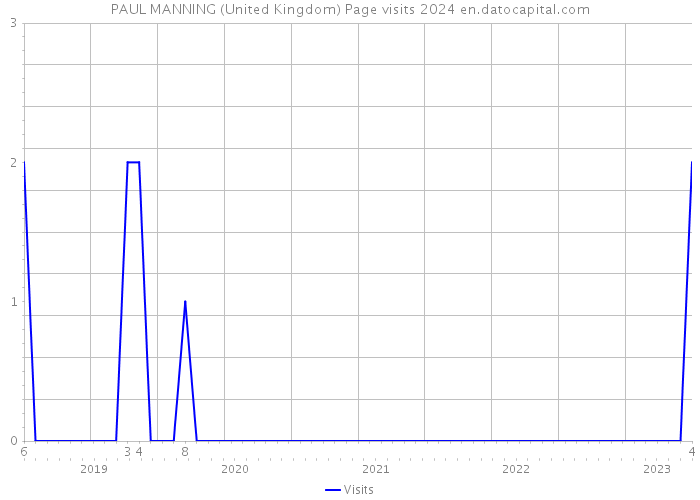 PAUL MANNING (United Kingdom) Page visits 2024 