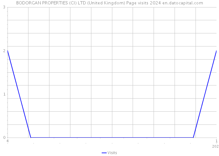 BODORGAN PROPERTIES (CI) LTD (United Kingdom) Page visits 2024 