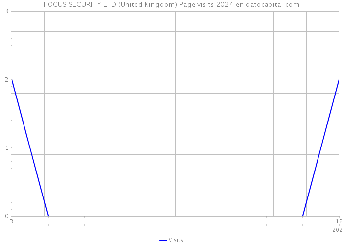 FOCUS SECURITY LTD (United Kingdom) Page visits 2024 