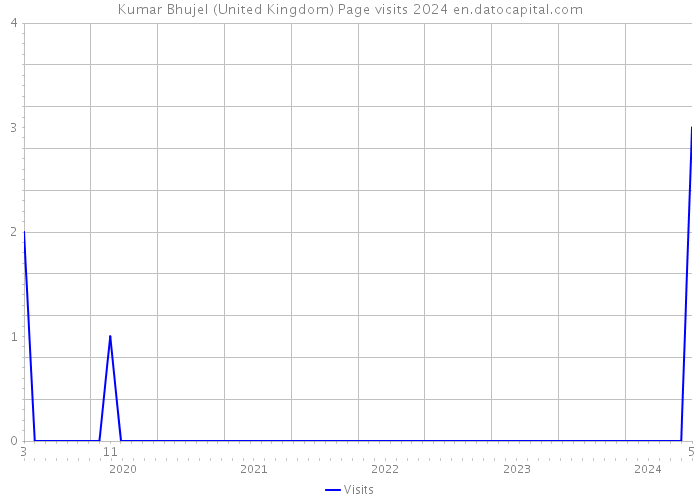 Kumar Bhujel (United Kingdom) Page visits 2024 