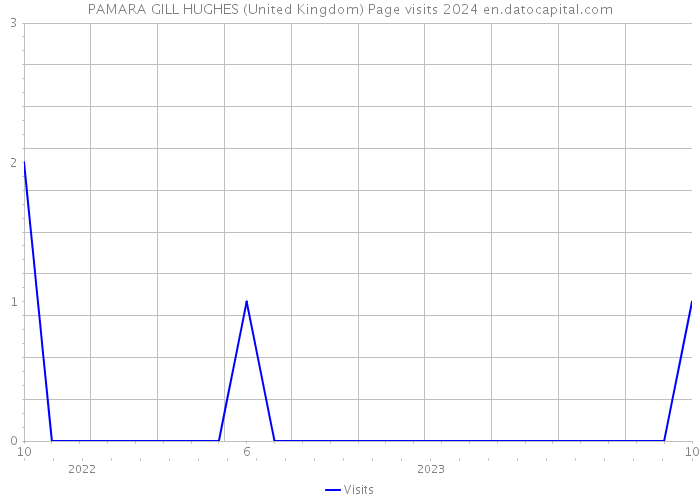 PAMARA GILL HUGHES (United Kingdom) Page visits 2024 