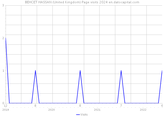 BEHCET HASSAN (United Kingdom) Page visits 2024 