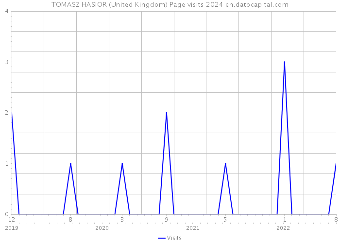 TOMASZ HASIOR (United Kingdom) Page visits 2024 