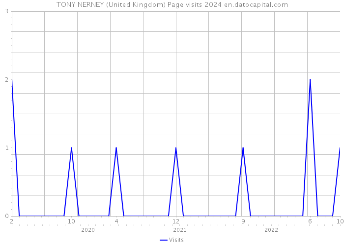 TONY NERNEY (United Kingdom) Page visits 2024 
