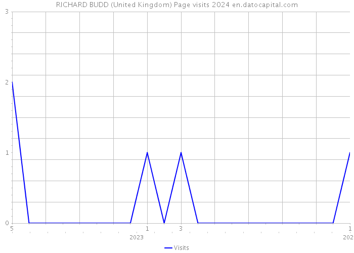 RICHARD BUDD (United Kingdom) Page visits 2024 