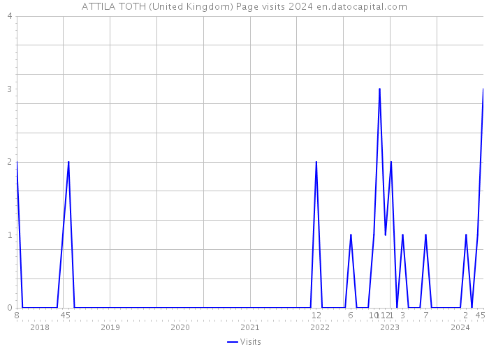 ATTILA TOTH (United Kingdom) Page visits 2024 