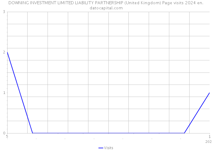 DOWNING INVESTMENT LIMITED LIABILITY PARTNERSHIP (United Kingdom) Page visits 2024 
