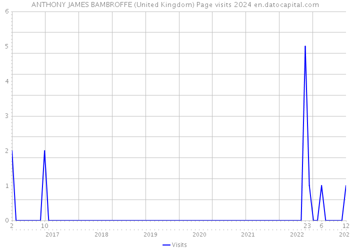 ANTHONY JAMES BAMBROFFE (United Kingdom) Page visits 2024 
