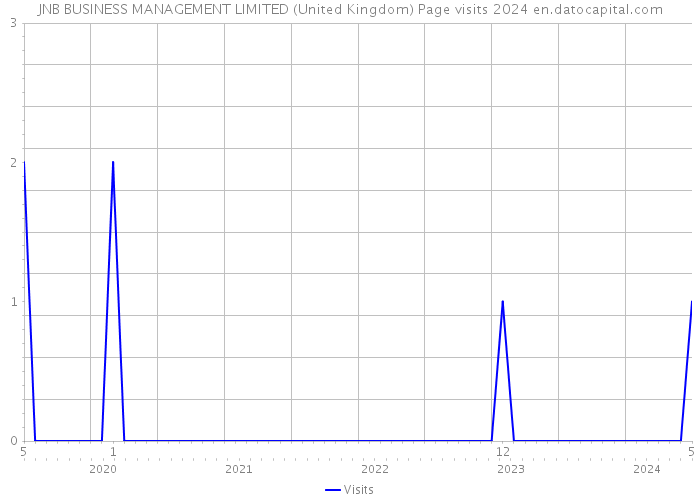 JNB BUSINESS MANAGEMENT LIMITED (United Kingdom) Page visits 2024 