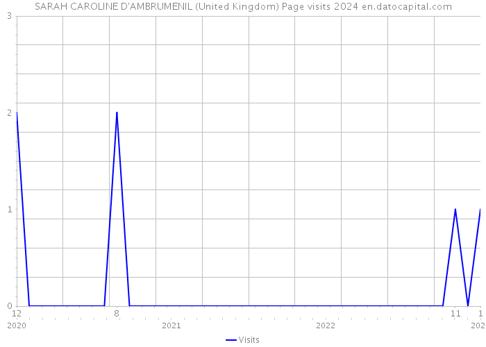SARAH CAROLINE D'AMBRUMENIL (United Kingdom) Page visits 2024 